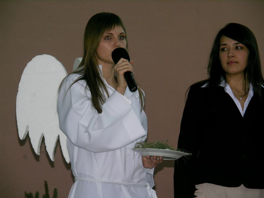 ZST w Kolnie- Jase�ka 2005 r.
 autor: ZST Kolno, LO Kolno, LP Kolno 