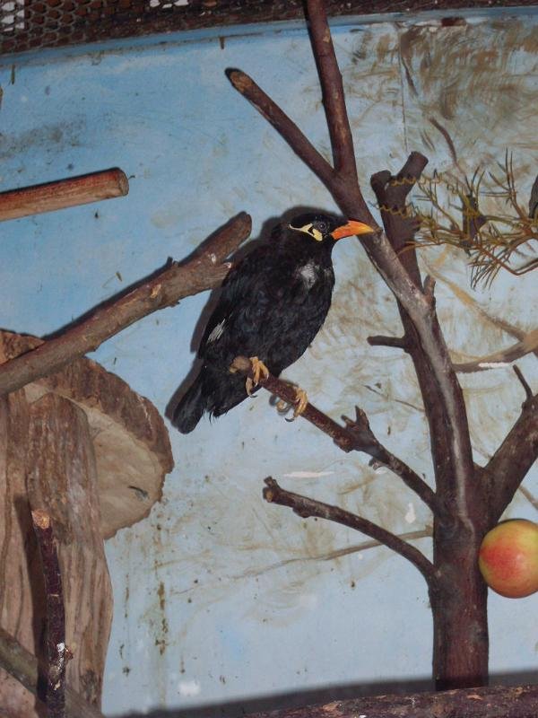 Wycieczka- Warszawa- ZST Kolno
 autor: ZST Kolno, LO Kolno, LP Kolno 