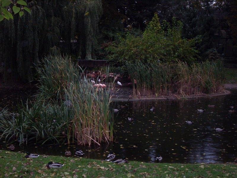 Wycieczka- Warszawa- ZST Kolno
 autor: ZST Kolno, LO Kolno, LP Kolno 