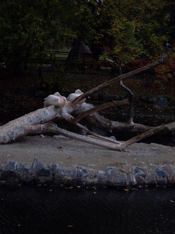 Wycieczka- Warszawa- ZST Kolno
 autor: ZST Kolno, LO Kolno, LP Kolno 