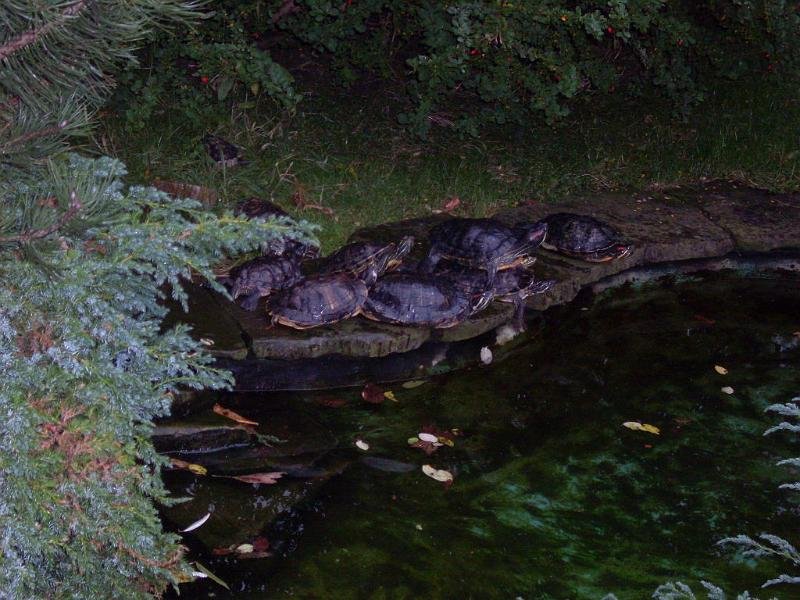 Wycieczka- Warszawa- ZST Kolno
 autor: ZST Kolno, LO Kolno, LP Kolno 