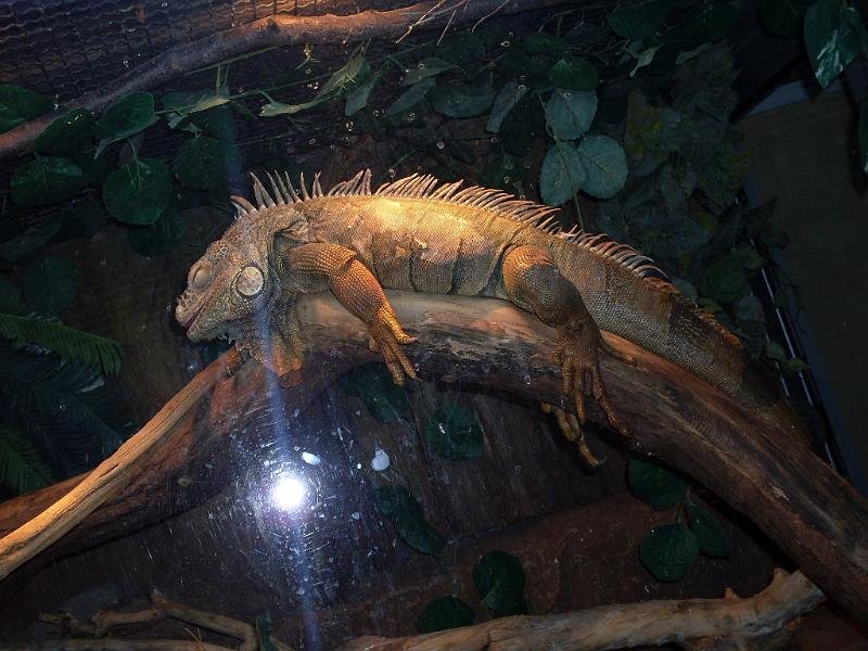 Wycieczka- Warszawa- ZST Kolno
 autor: ZST Kolno, LO Kolno, LP Kolno 