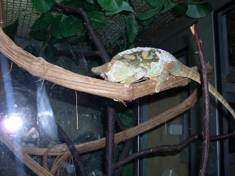 Wycieczka- Warszawa- ZST Kolno
 autor: ZST Kolno, LO Kolno, LP Kolno 